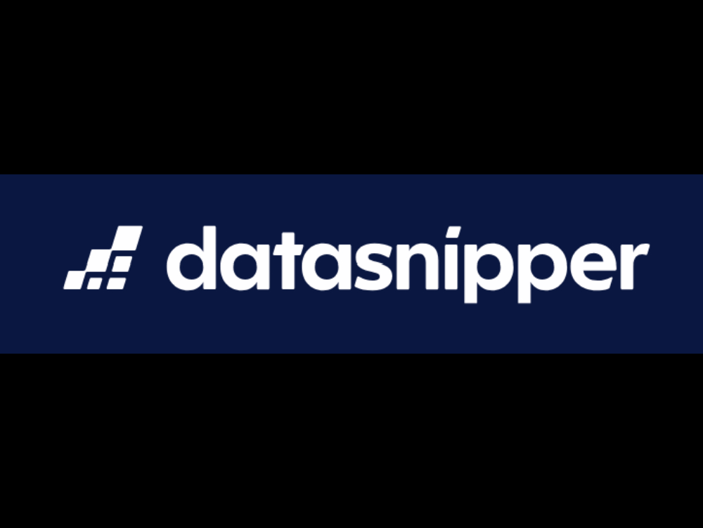 datasnipper logo