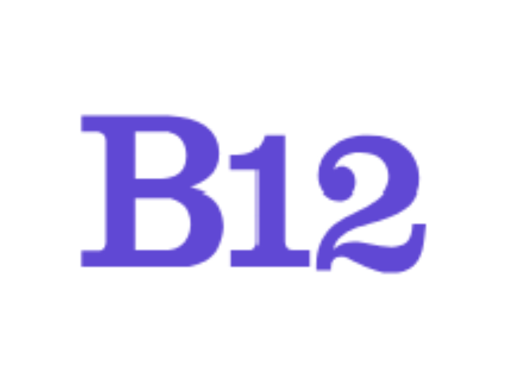 b12 ai logo